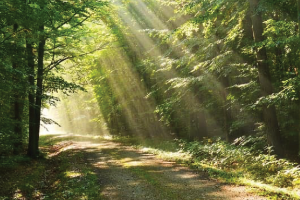 Massage i Måløv til restitution efter skader og overbelastning.